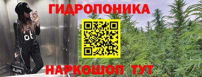 ECSTASY Конаково